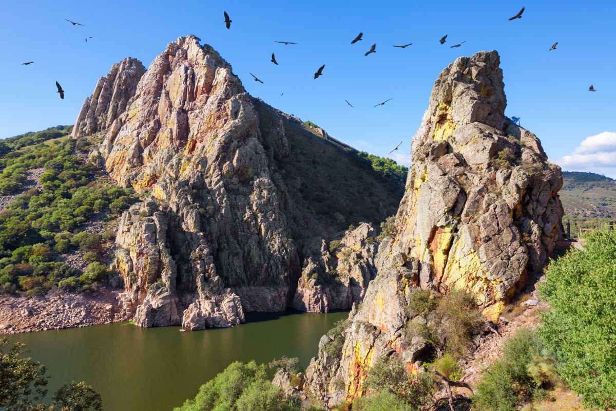 Monfragüe, destino para amantes de las aves